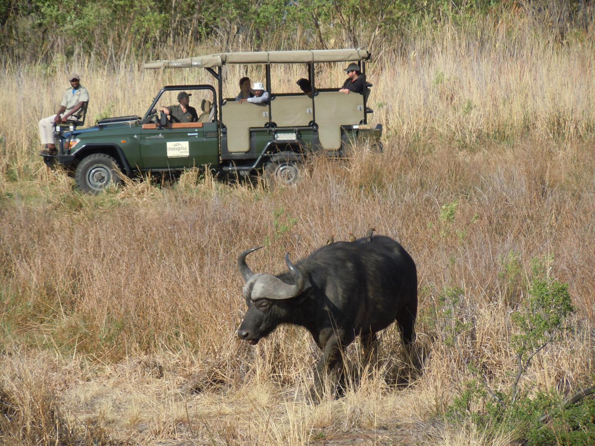 Little Mongena Tented Camp Klipdrift Eksteriør billede